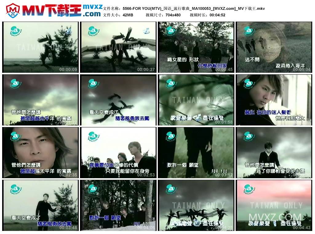 5566-FOR YOU(MTV)_国语_流行歌曲_MA100053